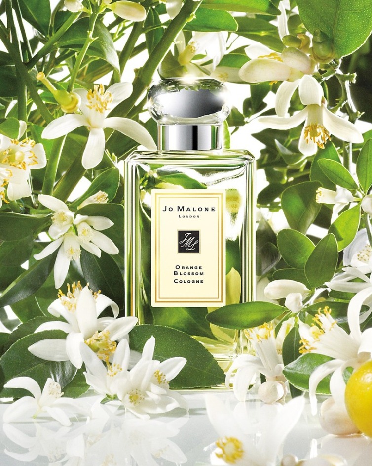 (น้ำหอม+กล่อง+โบว์) Jo Malone London Orange Blossom 100ml. (เคาเตอร์ 6,400฿
