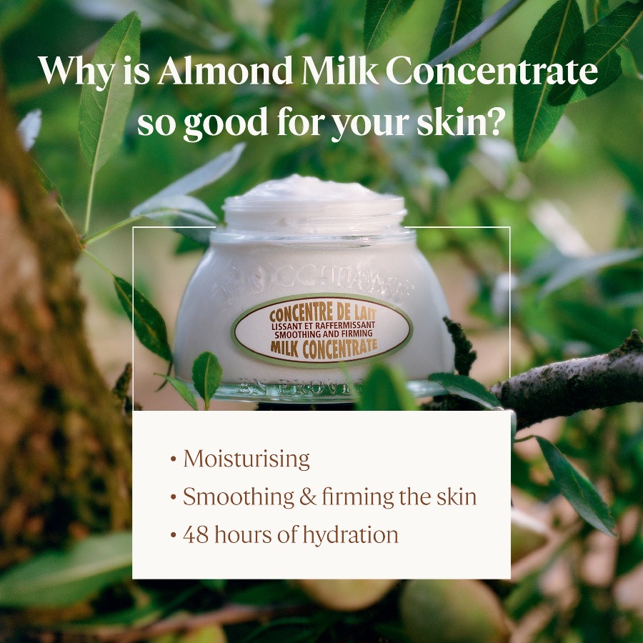 LOccitane Amande Milk Concentrate 200ml. (เคาเตอร์ 2,650฿)